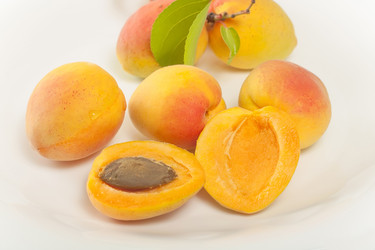 Similar image 2897925