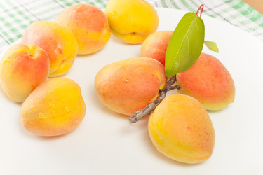 Similar image 2897945