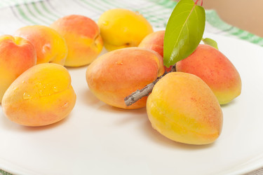 Similar image 2897950