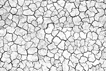 Similar image 2898034