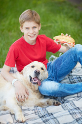 Similar image 2898096