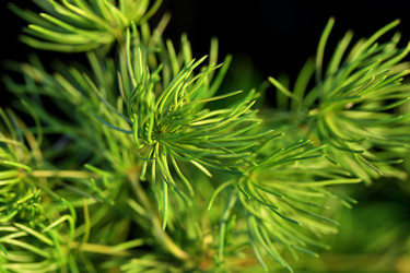 Similar image 2898260