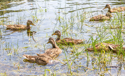 Similar image 2898276