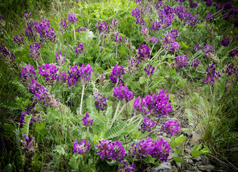 Similar image 2898342