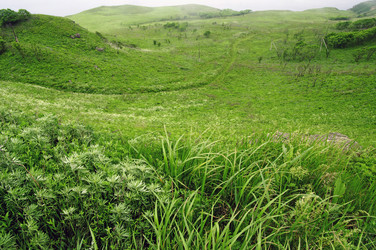 Similar image 2898346