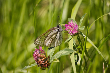 Similar image 2898366