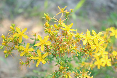 Similar image 2898380