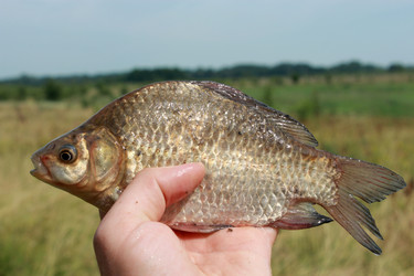 Similar image 2898381