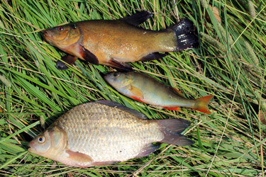 Similar image 2898388