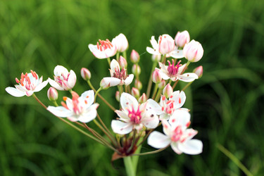 Similar image 2898395