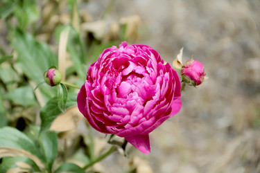 Similar image 2898397