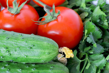 Similar image 2898398