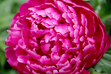 Similar image 2898399