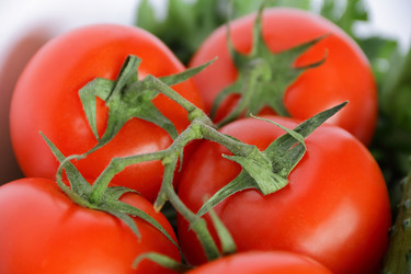 Similar image 2898401