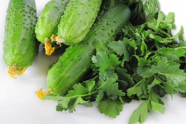 Similar image 2898402