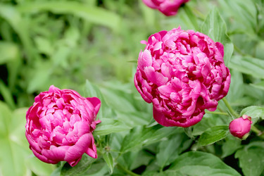 Similar image 2898403