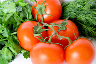 Similar image 2898406