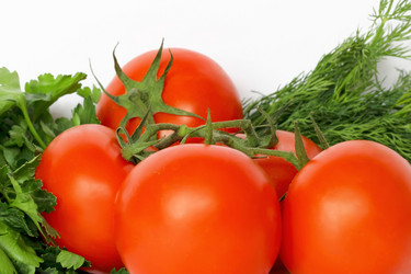 Similar image 2898407