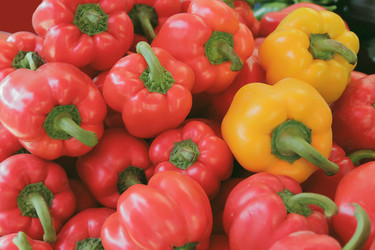 Similar image 2898410