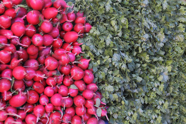 Similar image 2898413