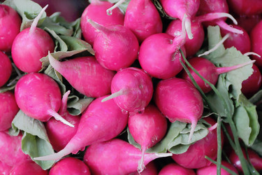 Similar image 2898414