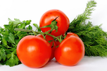 Similar image 2898415