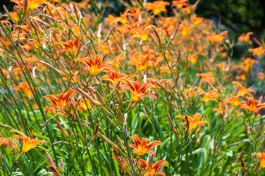 Similar image 2898416