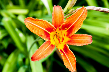 Similar image 2898417