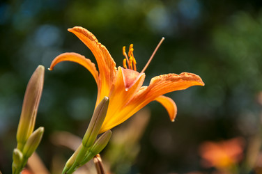 Similar image 2898420