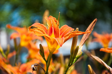 Similar image 2898421