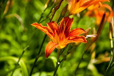 Similar image 2898422