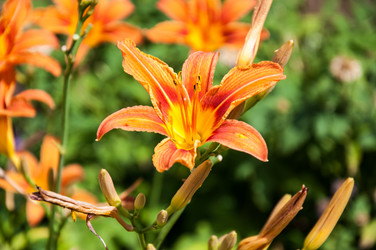 Similar image 2898425