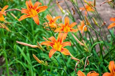 Similar image 2898426