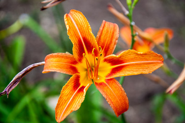 Similar image 2898427