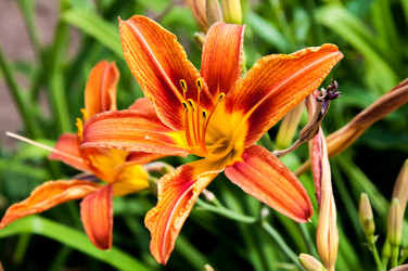 Similar image 2898428