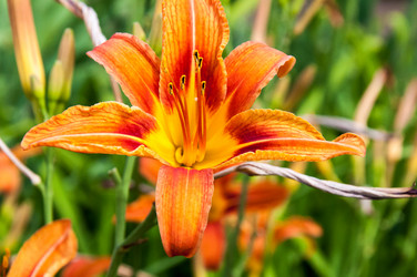 Similar image 2898429