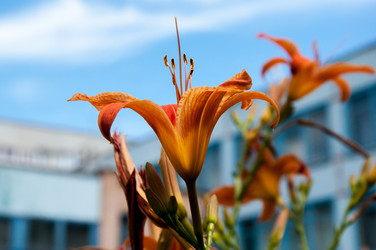 Similar image 2898430