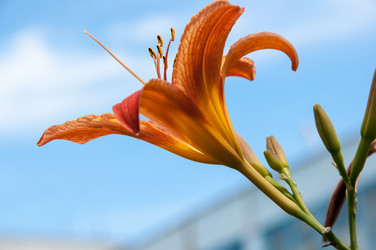 Similar image 2898431