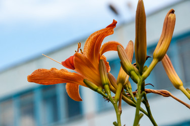 Similar image 2898432