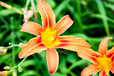 Similar image 2898433