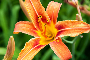 Similar image 2898435