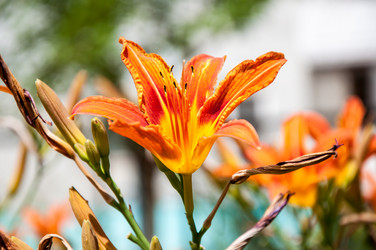 Similar image 2898436