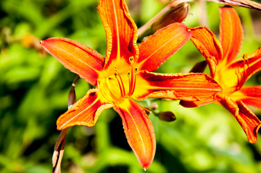 Similar image 2898456