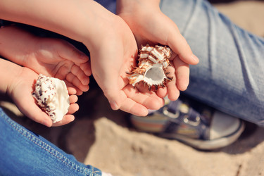 Similar image 2898476