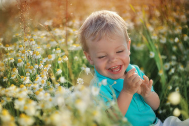 Similar image 2898484