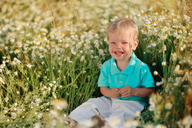 Similar image 2898487