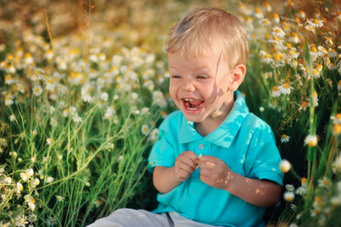 Similar image 2898489