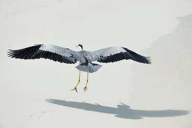 Similar image 2898553