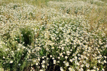 Similar image 2898589