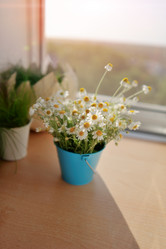 Similar image 2898590